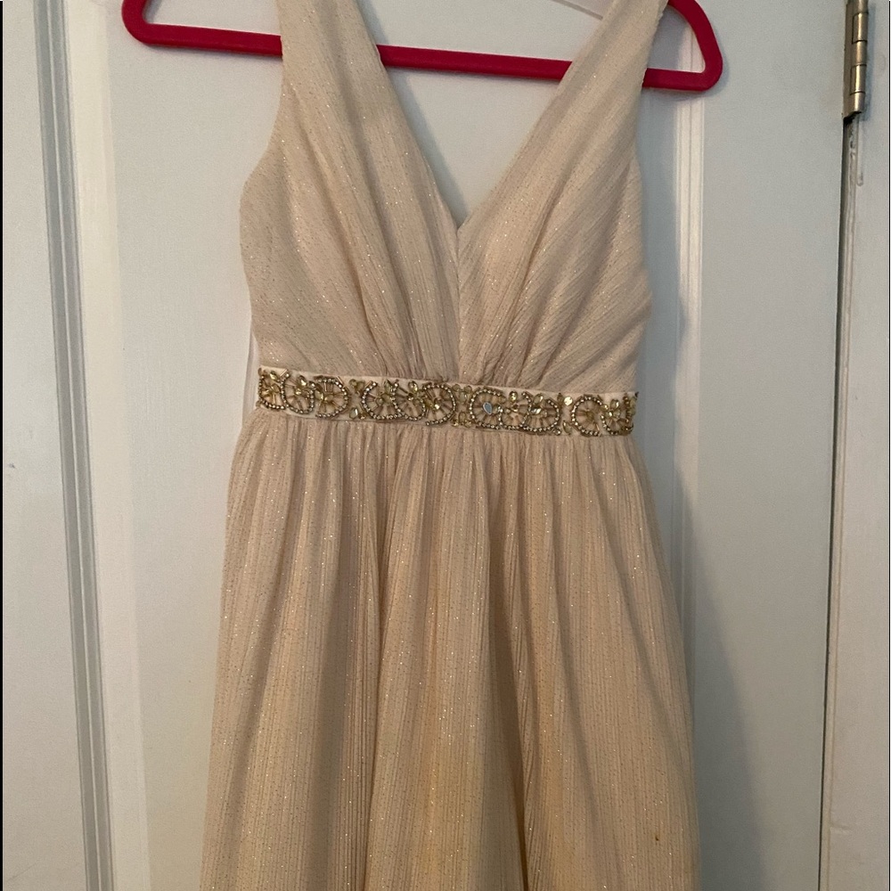 Sparkly Homecoming Dress